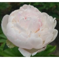 Marilla Beauty (Марила Бьюти)
